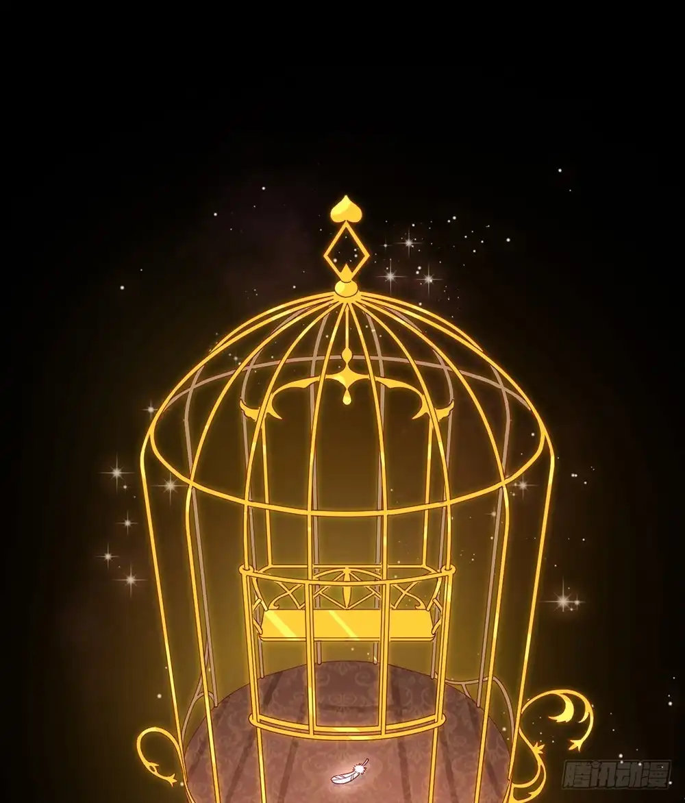 《云想之歌-笼中之恋》第二季 预告 第5页