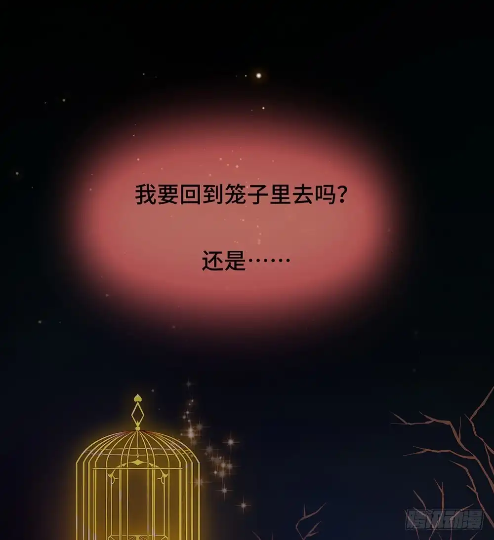 《云想之歌-笼中之恋》第二季 预告 第23页