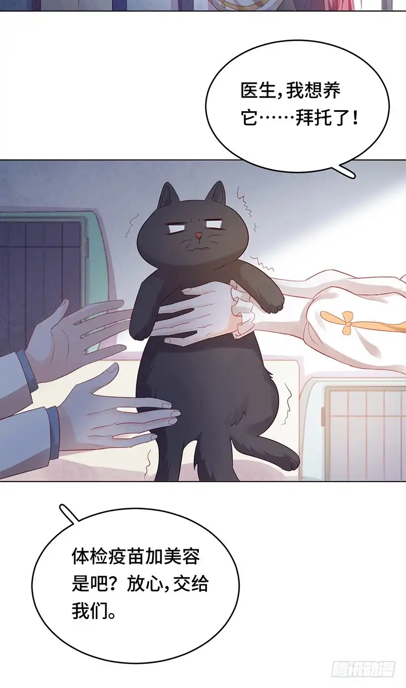 《云想之歌-笼中之恋》番外 猫生赢家 第7页