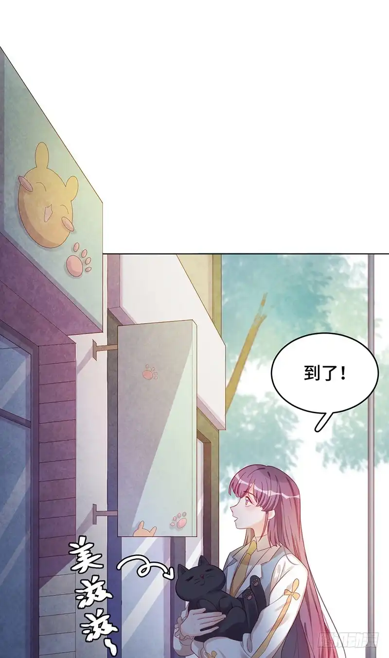 《云想之歌-笼中之恋》番外 猫生赢家 第6页