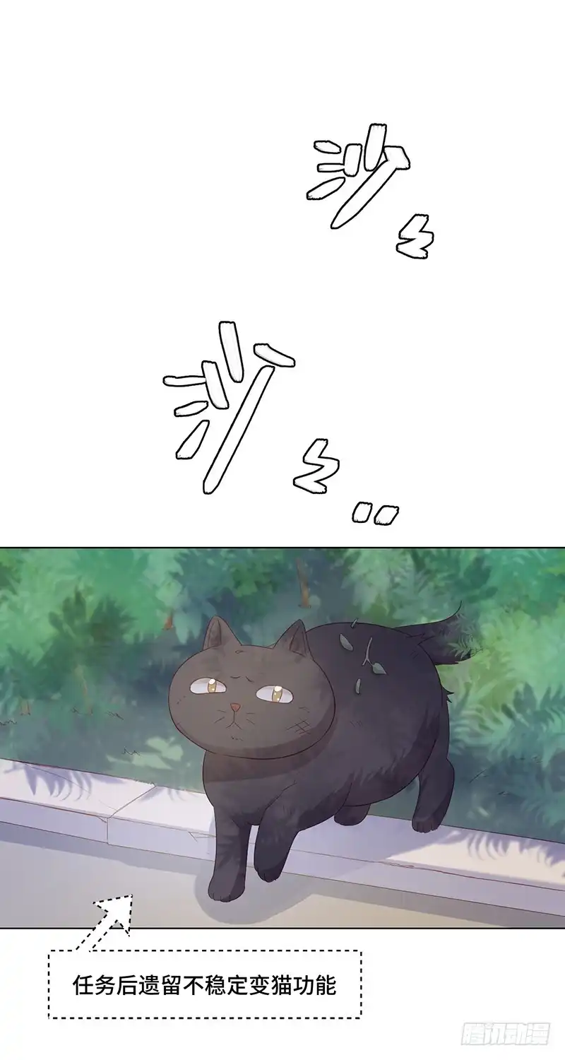 《云想之歌-笼中之恋》番外 猫生赢家 第4页