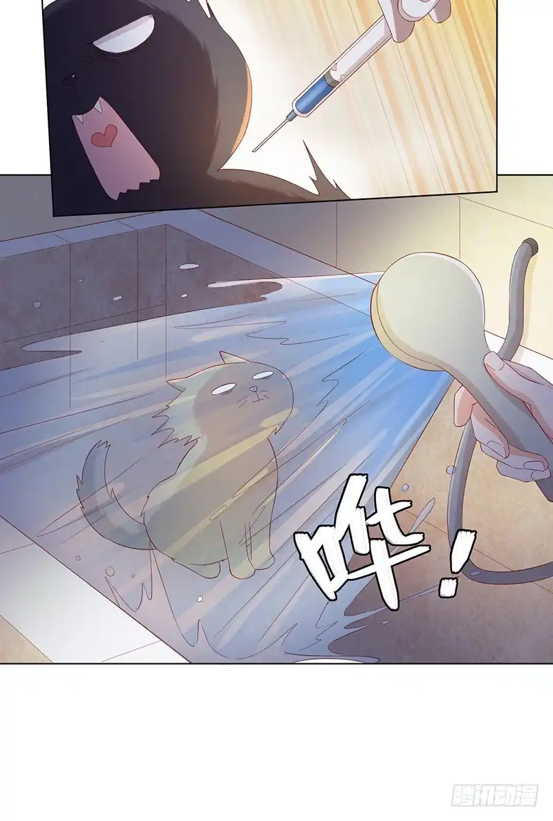 《云想之歌-笼中之恋》番外 猫生赢家 第9页