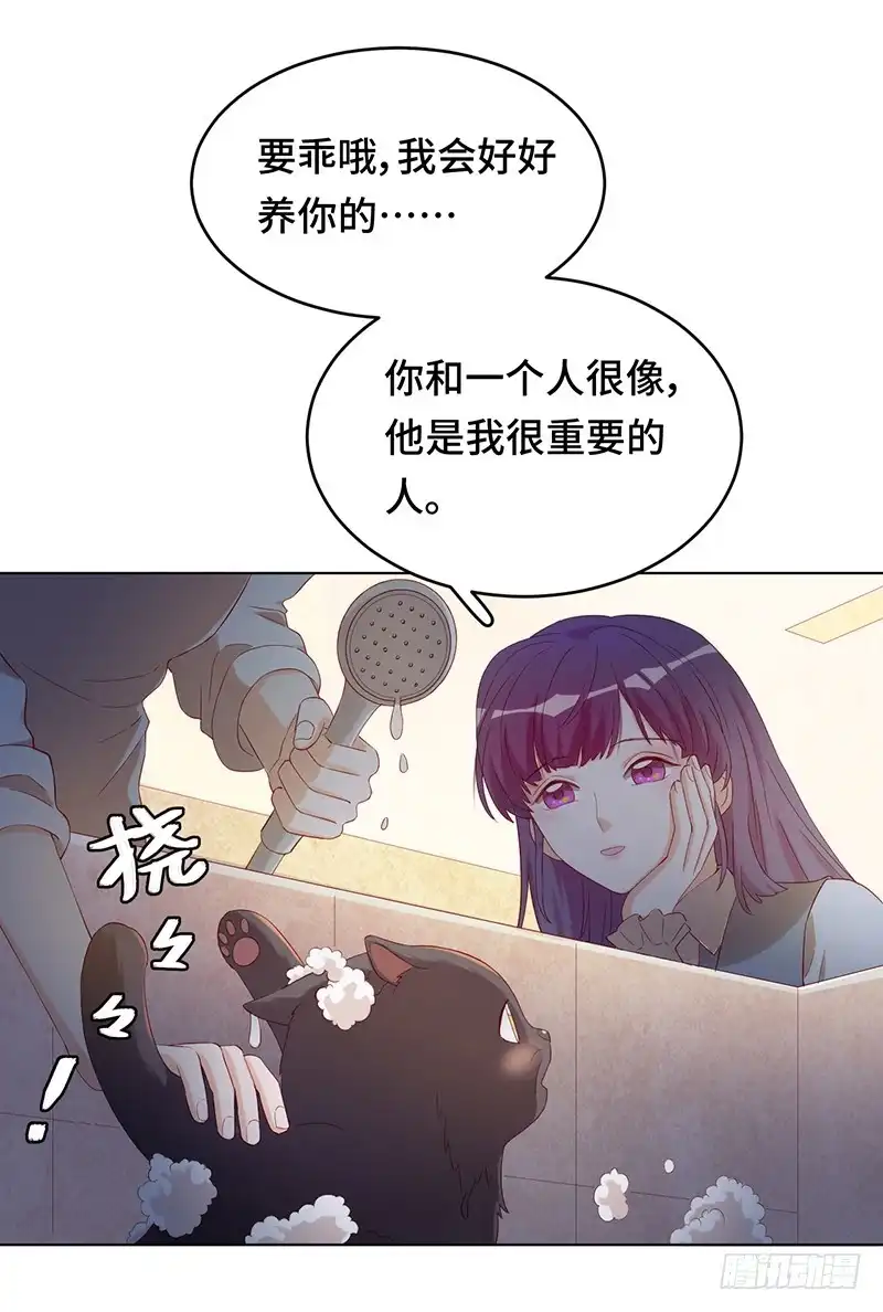 《云想之歌-笼中之恋》番外 猫生赢家 第10页