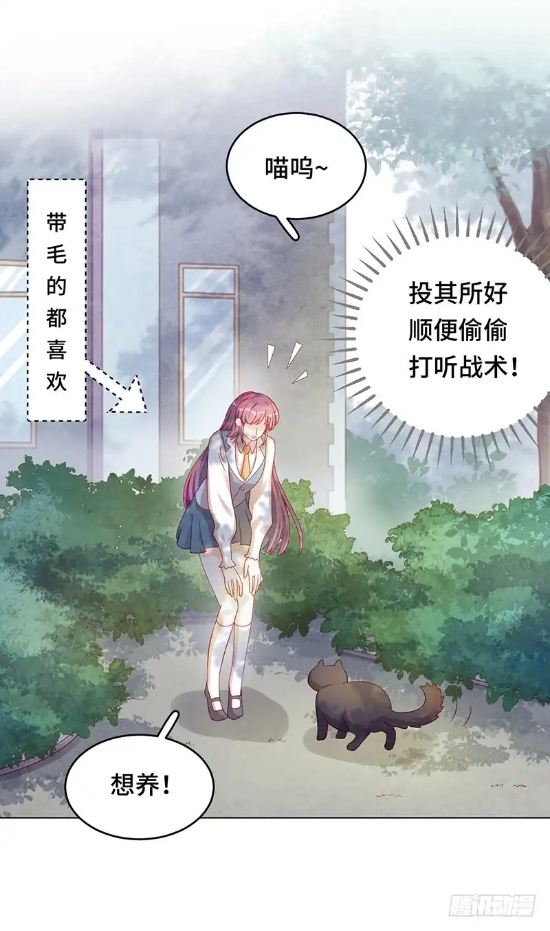 《云想之歌-笼中之恋》番外 猫生赢家 第5页