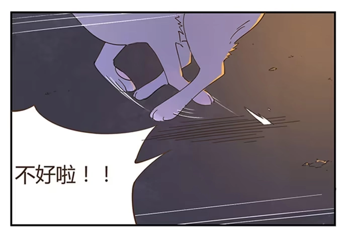 与兔共枕 下凡 第12页