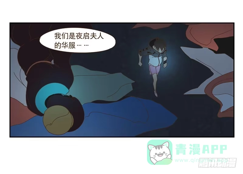 与兔共枕 夜启夫人的收藏 第11页