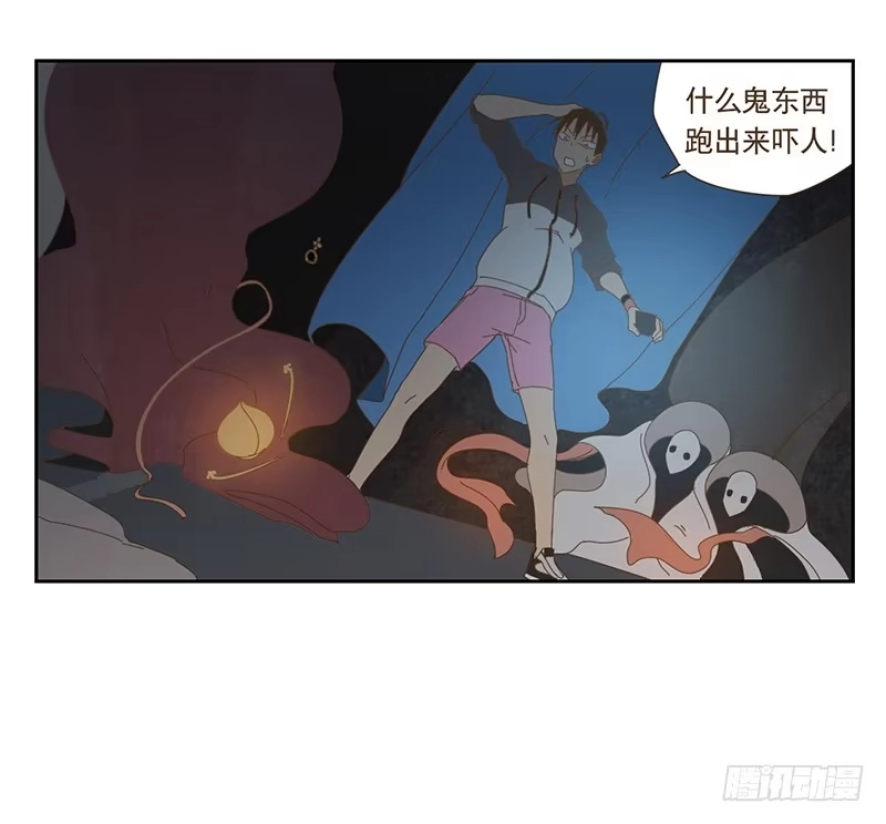 与兔共枕 夜启夫人的收藏 第15页