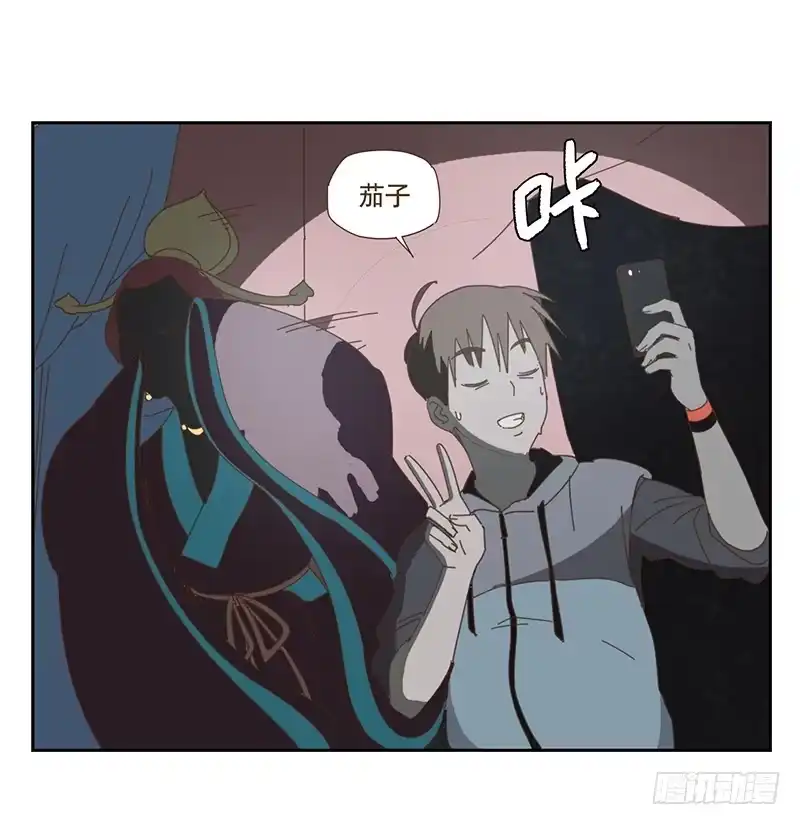与兔共枕 夜启夫人的收藏 第7页
