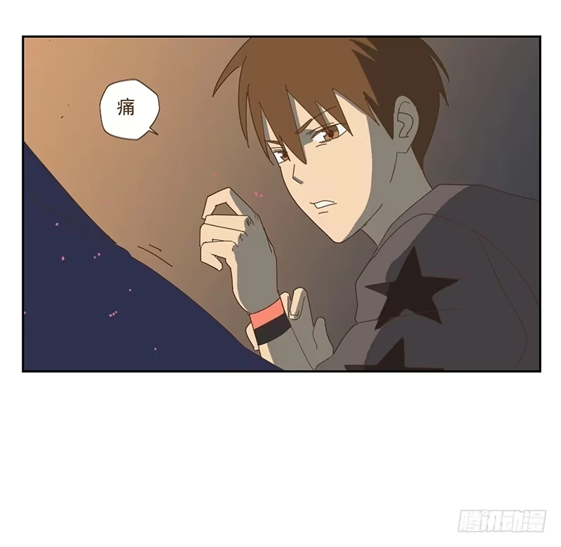与兔共枕 夜启夫人的收藏 第23页