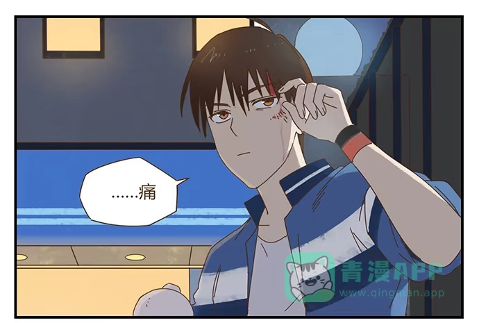 与兔共枕 天降之物 第1页