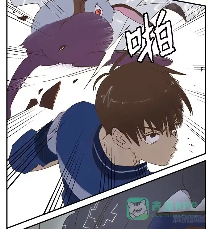 与兔共枕 天降之物 第26页