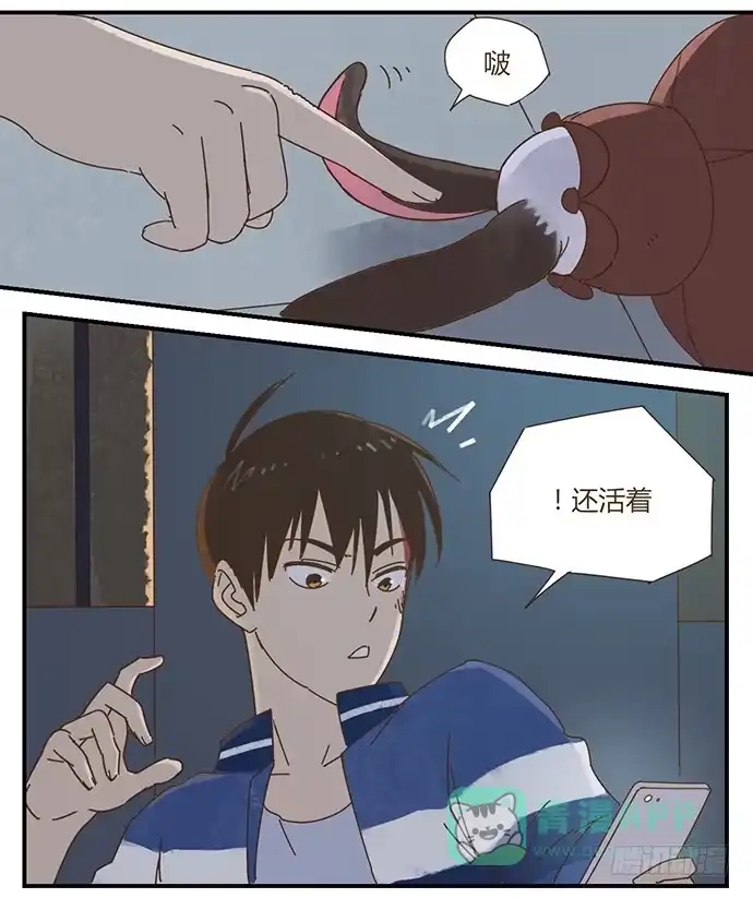 与兔共枕 天降之物 第6页