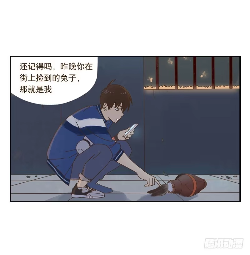 与兔共枕 秘密 第14页