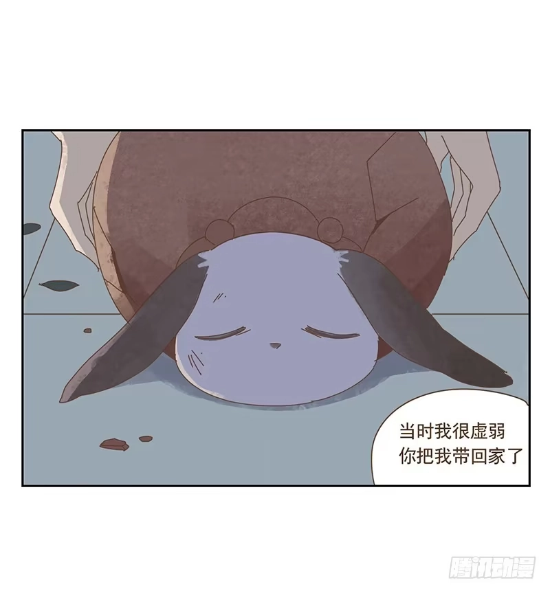 与兔共枕 秘密 第15页