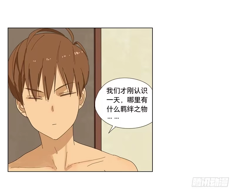 与兔共枕 布置结界 第5页
