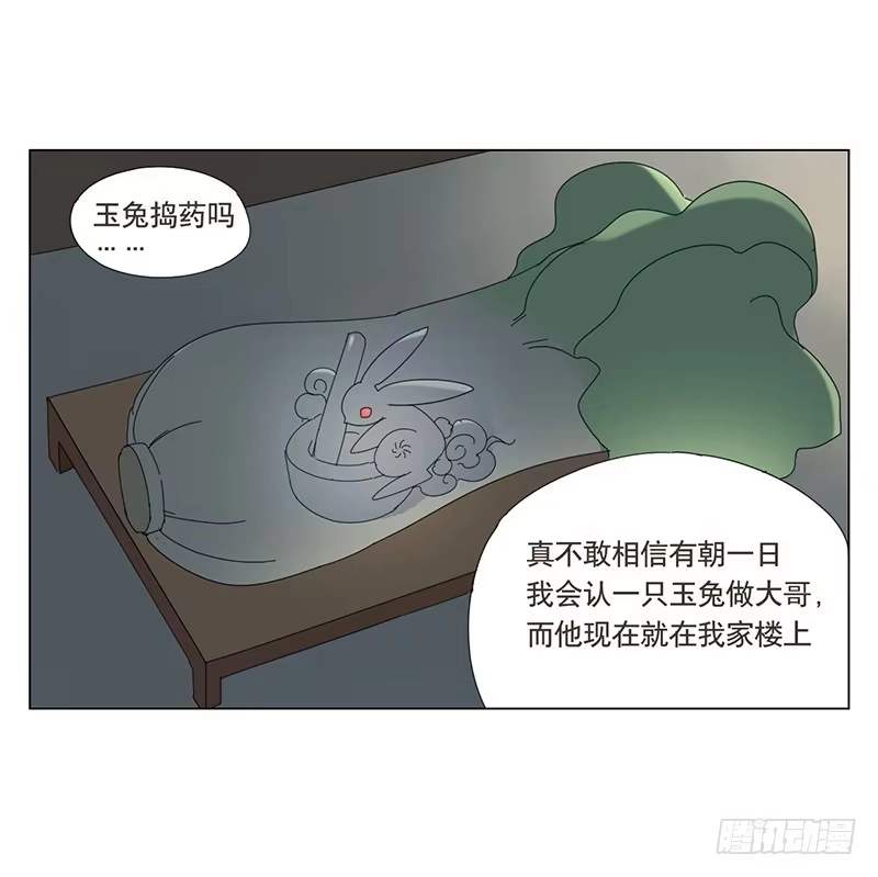 与兔共枕 两人的夜晚 第13页