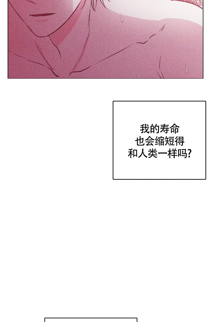 《羽下之物》第37话 第34页