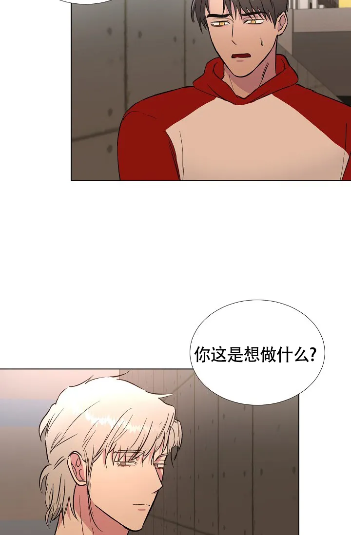 《羽下之物》第53话 第8页