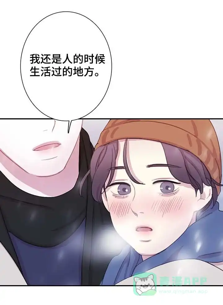 与吸血鬼共餐 第54话 第6页