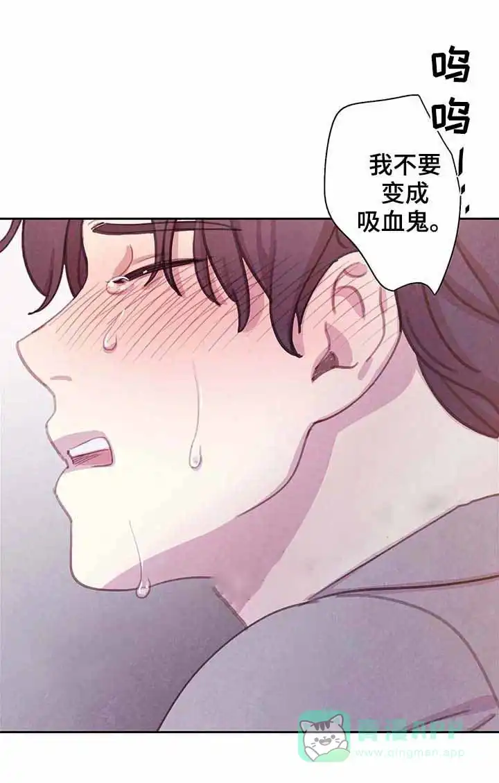 与吸血鬼共餐 第60话 第11页