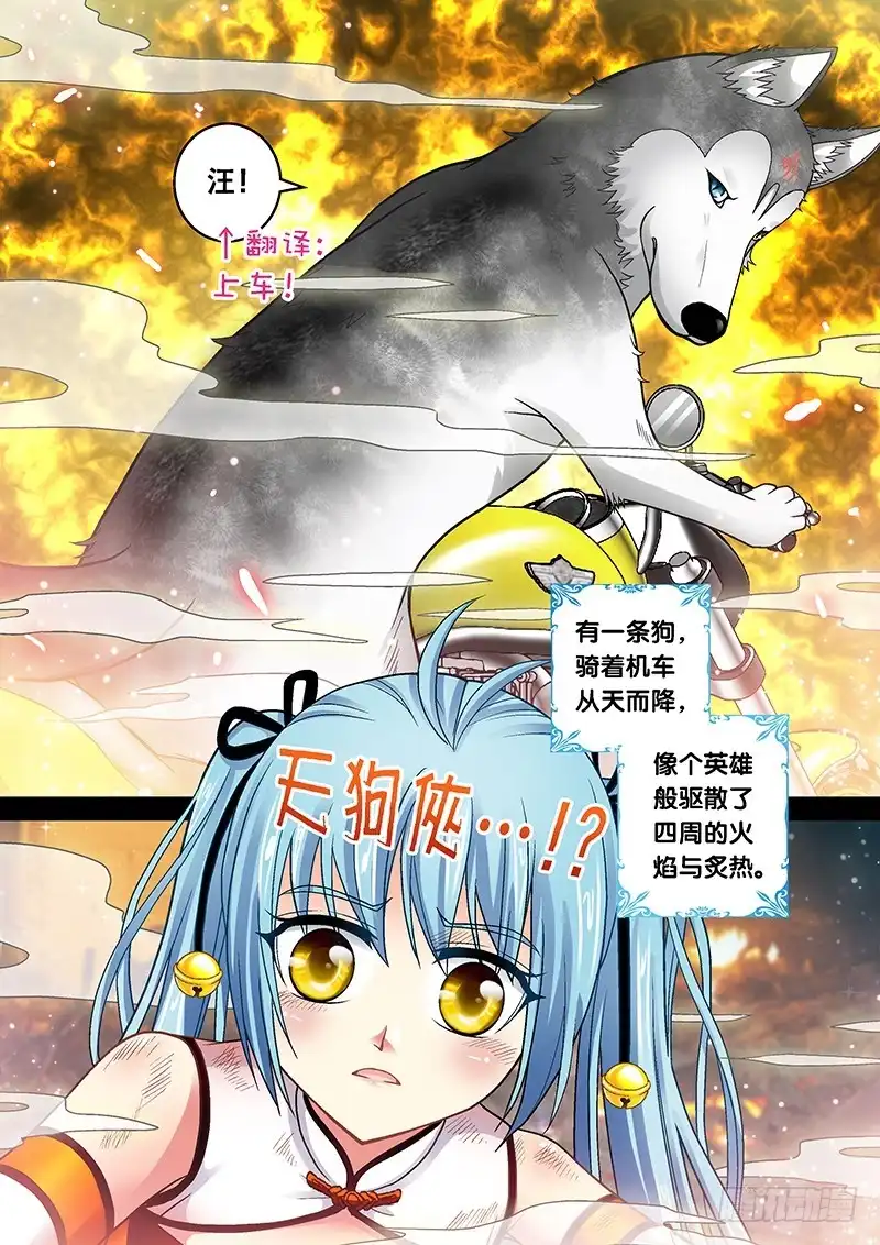 《玉医玄九天》007-4 飞舞吧！坦克 第4页