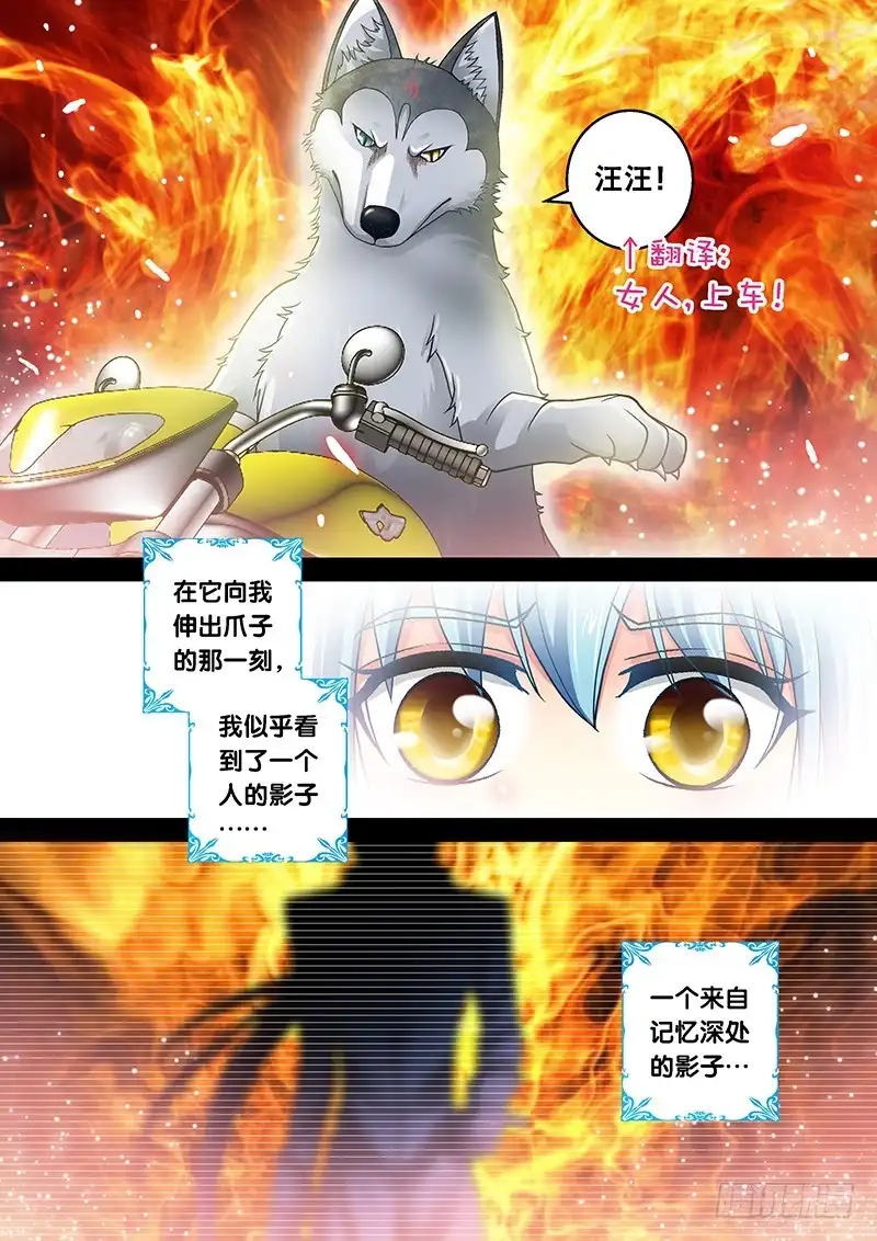 《玉医玄九天》007-4 飞舞吧！坦克 第6页