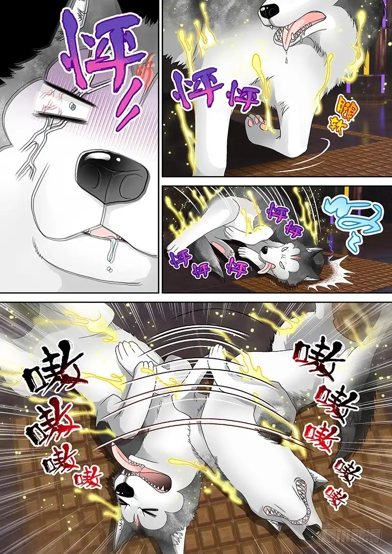 《玉医玄九天》016-2 哔了狗了！ 第6页
