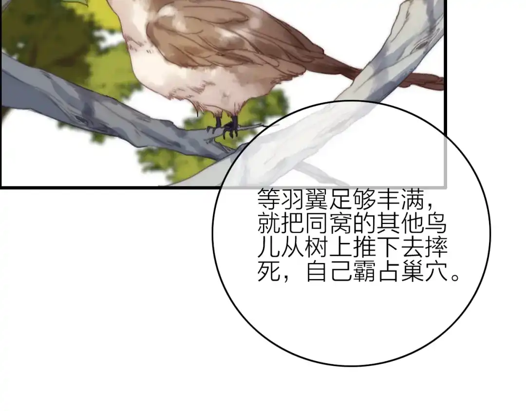 《与子成说》完结篇（下） 逃婚变私奔 第132页