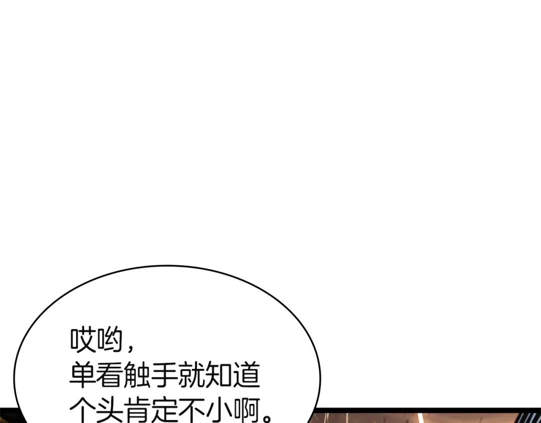 《灾难级英雄归来》第147话 新圣域 第211页