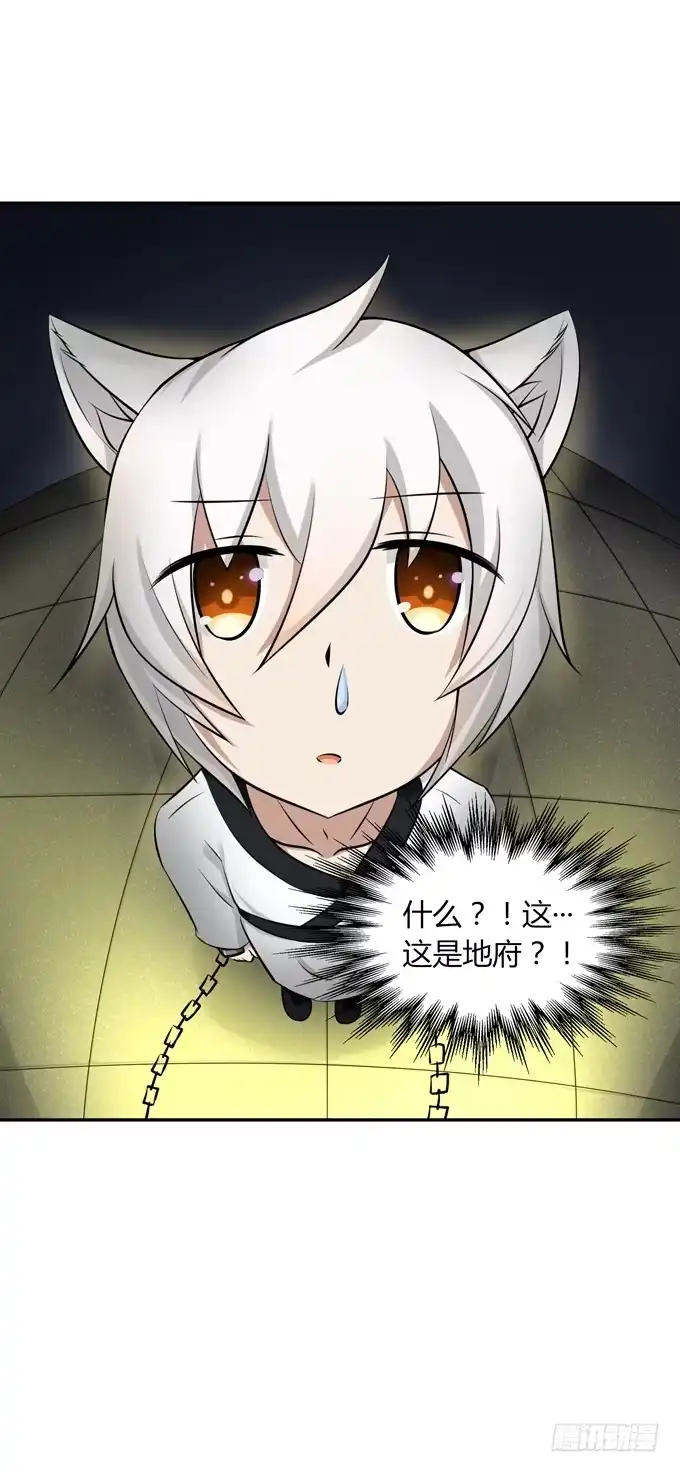 《再世为妖》我就这么死了？ 第13页