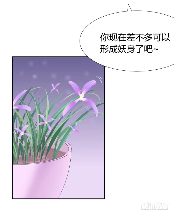 《再世为妖》任性 第8页