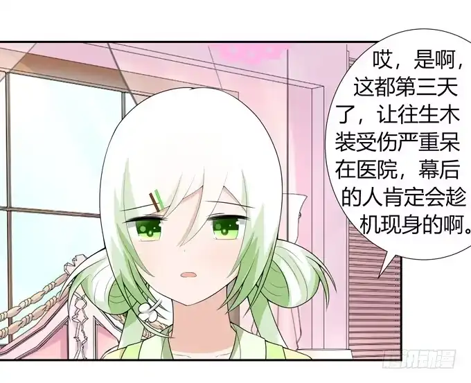《再世为妖》我们还能回到从前吗 第12页