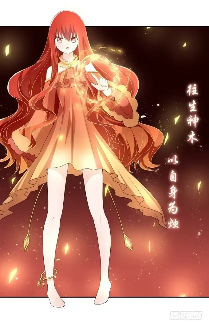 《再世为妖》合伙 第15页