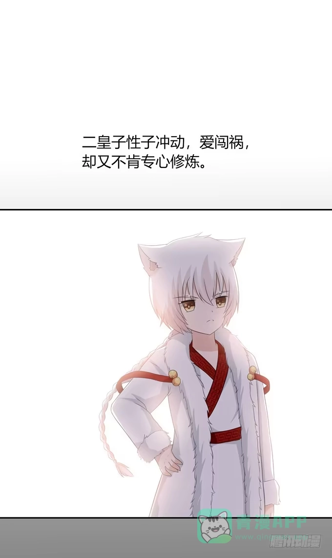 《再世为妖》晚礼服 第6页