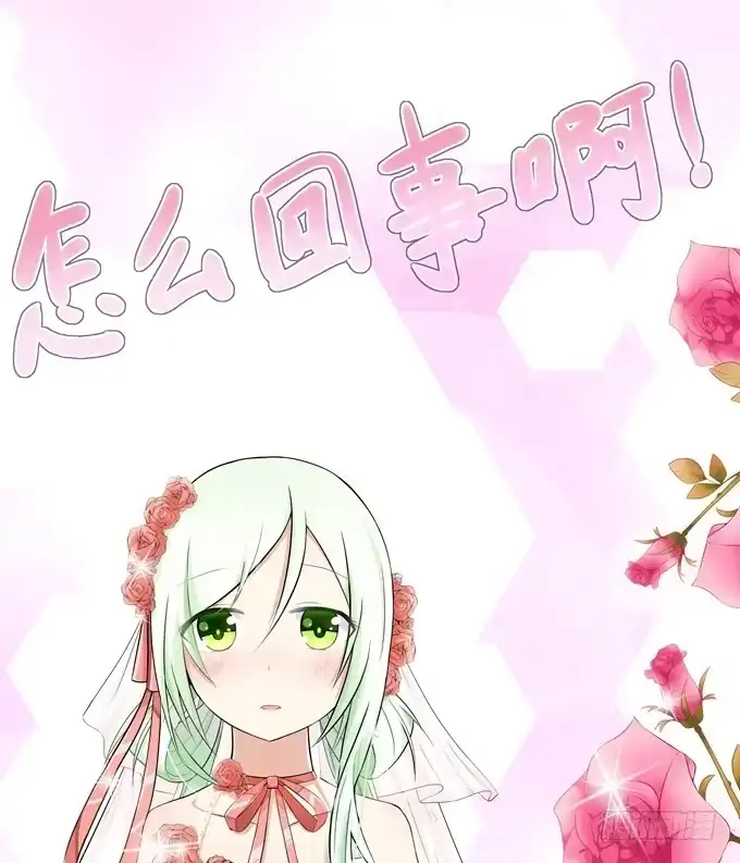 《再世为妖》分头行动 第47页