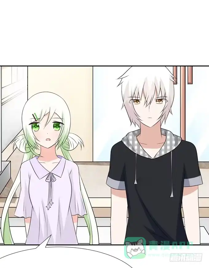 《再世为妖》离婚 第11页