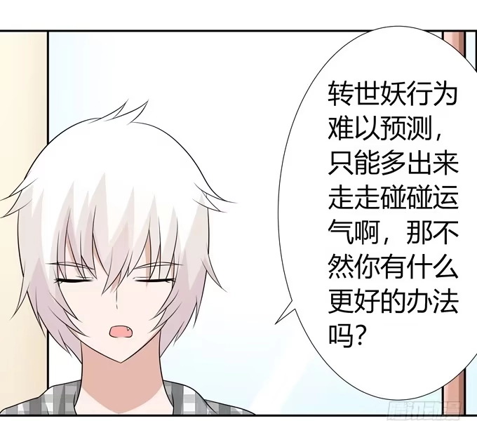《再世为妖》离婚 第13页