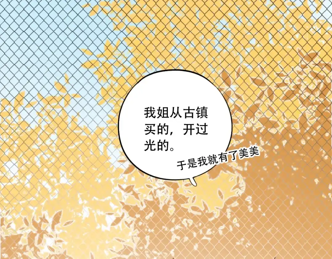 《泽上寂寞萤火》番外 陆映澈的不可说 第17页