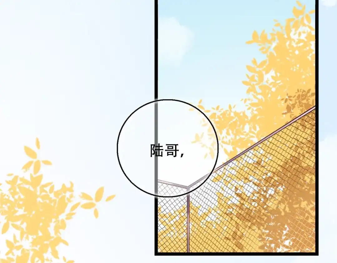 《泽上寂寞萤火》番外 陆映澈的不可说 第6页