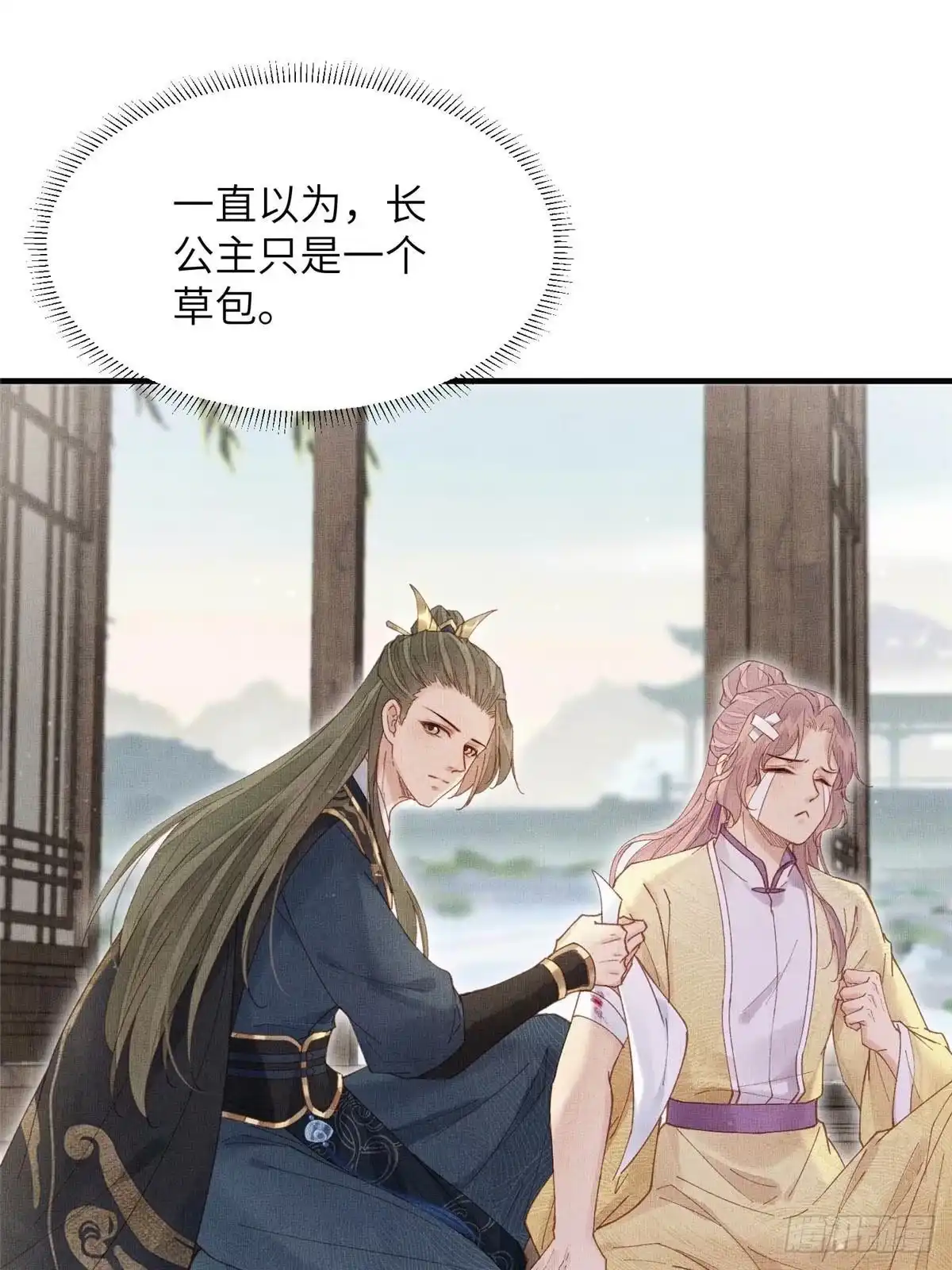 《长公主她每天都想造反》110 虞郎重伤不醒 第37页