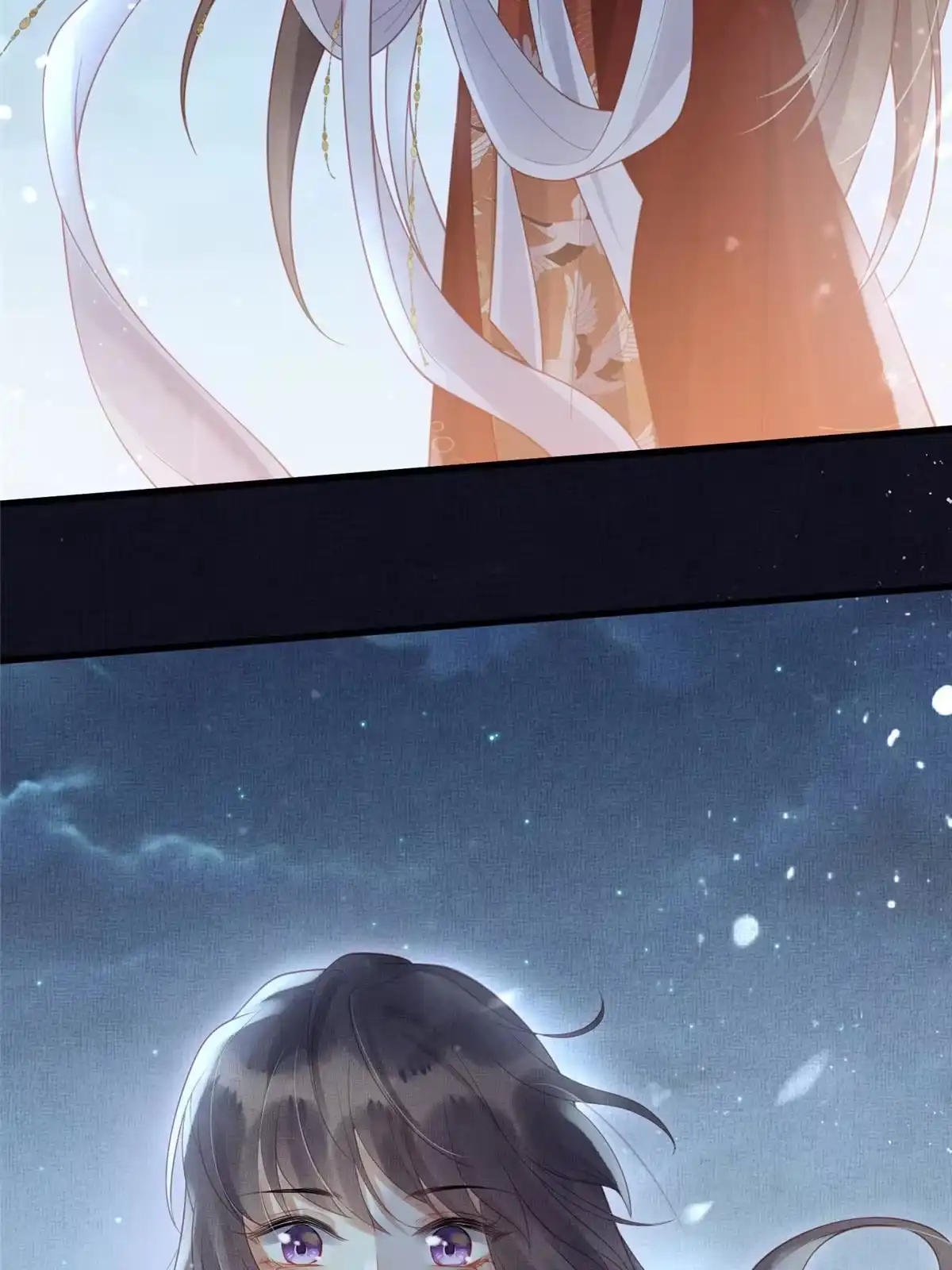 《长公主她每天都想造反》030 十年追忆两茫茫 第28页