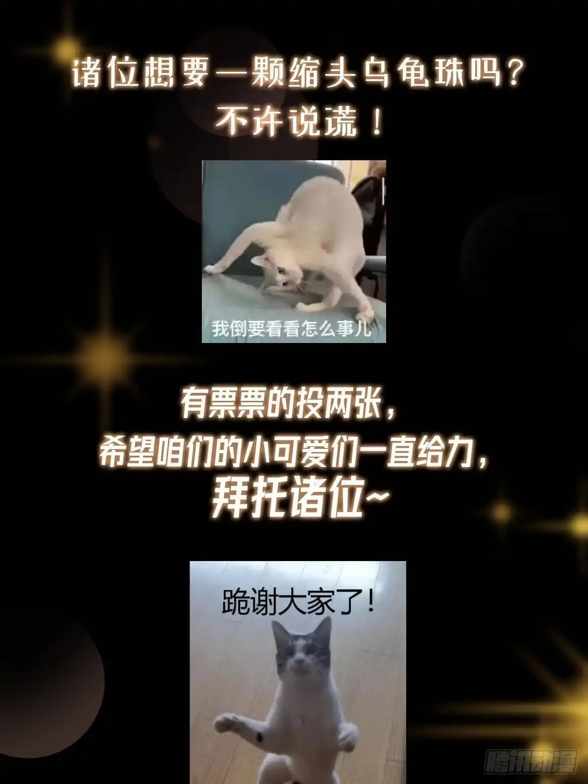 掌门低调点 557 缩头乌龟专属法宝 第82页