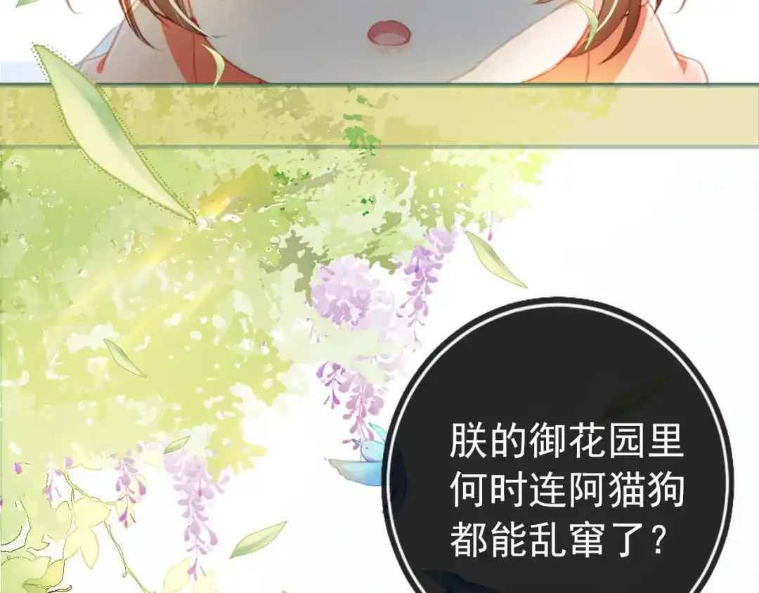 《掌上萌珠》第1话 团宠小吃货驾到~ 第79页