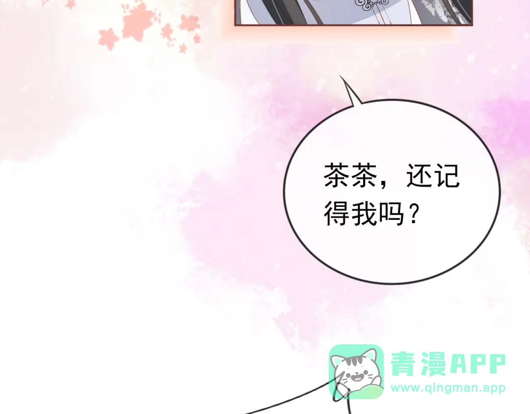 《掌上萌珠》第38话 茶茶是我的！ 第11页