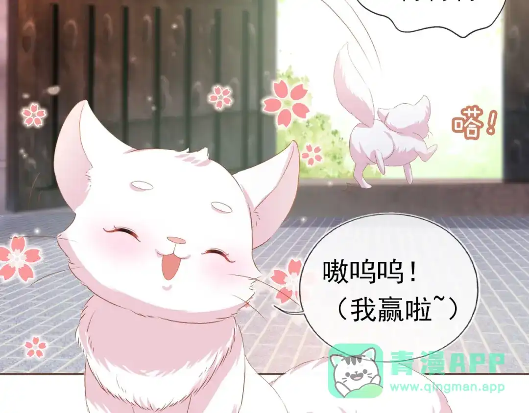 《掌上萌珠》第62话 猫猫脸 第26页