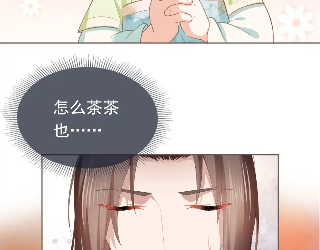 《掌上萌珠》第63话 茶茶要抓坏人！ 第29页