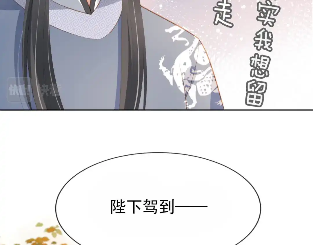 《掌上萌珠》第63话 茶茶要抓坏人！ 第9页
