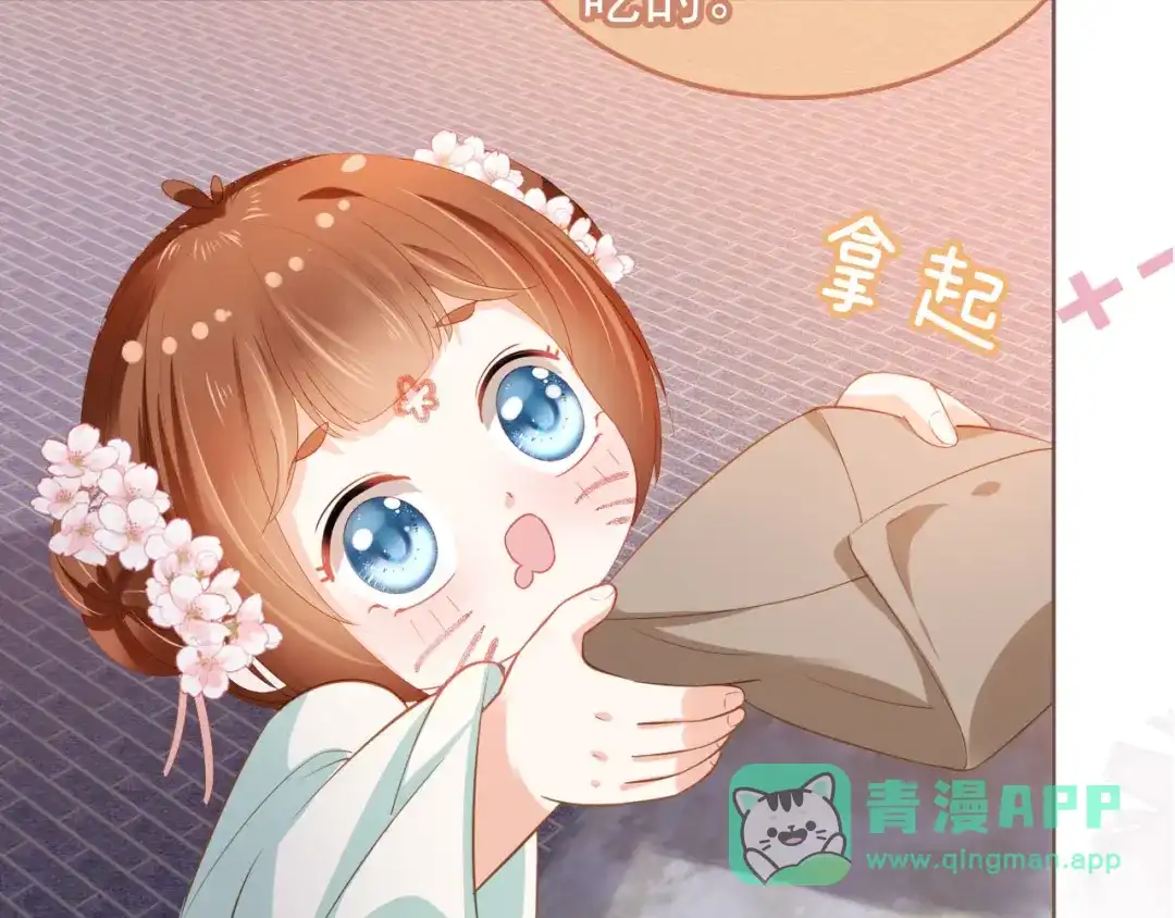 《掌上萌珠》第63话 茶茶要抓坏人！ 第41页