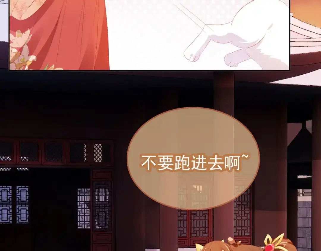 《掌上萌珠》第71话 小狐狸快回来 第48页