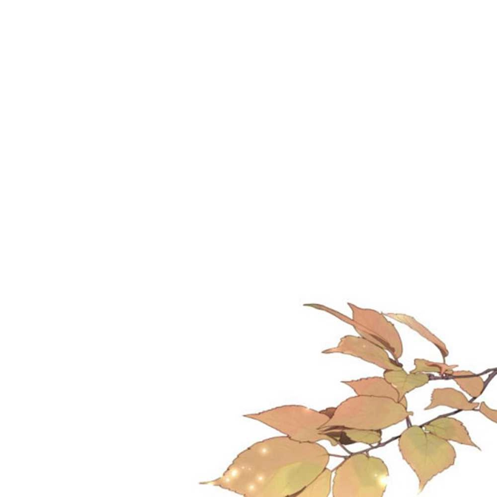 《这辈子我要当配角》第27话 第35页